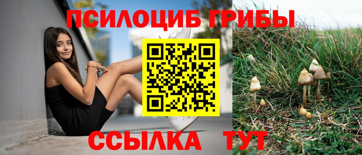 Псилоцибиновые грибы MAGIC MUSHROOMS  Вход с VPN  Курганинск  хочу наркоту  Галлюциногенные грибы Cubensis 